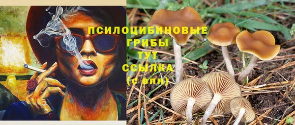 ECSTASY Балахна