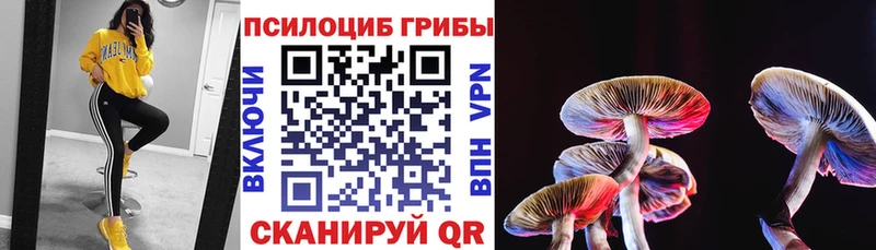 гидра как войти Вольск Галлюциногенные грибы ЛСД